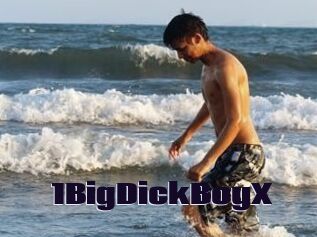 1BigDickBoyX