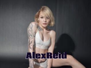 Alex_Reid