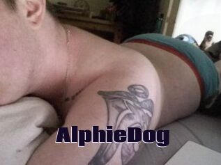 Alphie_Dog
