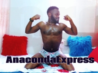 AnacondaExpress