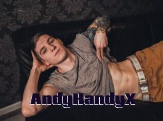 AndyHandyX