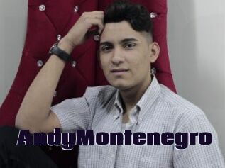 AndyMontenegro
