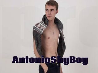 AntonioShyBoy