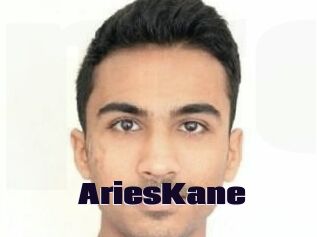 Aries_Kane Prolap Sex
