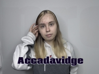 Accadavidge