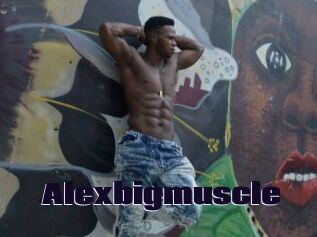 Alexbigmuscle