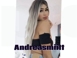 Andreasmiitt