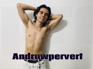 Andruwpervert