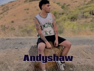 Andyshaw