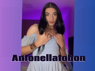 Antonellatobon