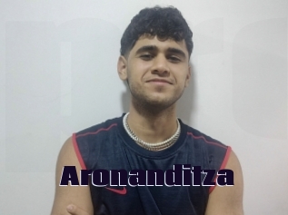 Aronanditza