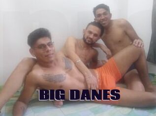 BIG_DANES