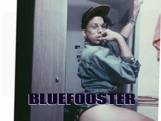 BLUEFOOSTER