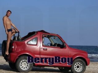 BerryBoy
