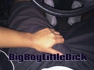 BigBoyLittleDick