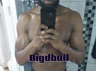 Bigdbull