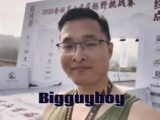 Bigguyboy