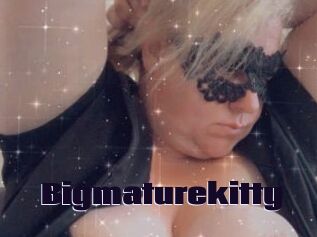 Bigmaturekitty