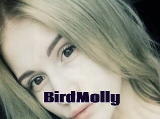 BirdMolly