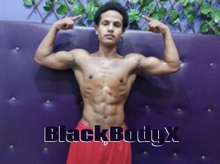 BlackBodyX