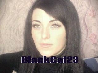 BlackCat23