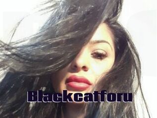 Blackcatforu