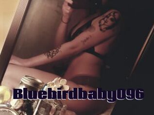 Bluebirdbaby096