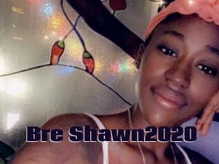 Bre_Shawn2020