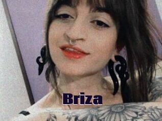 Briza