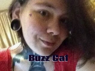 Buzz_Cat