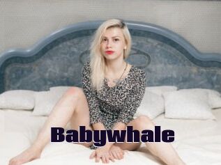 Babywhale