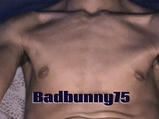 Badbunny75