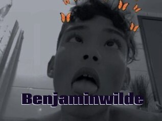 Benjaminwilde