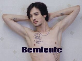 Bernicute