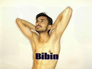 Bibin