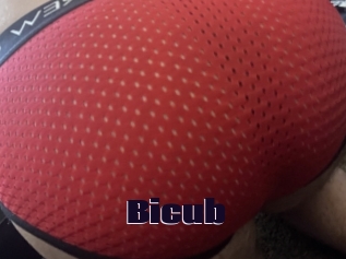 Bicub