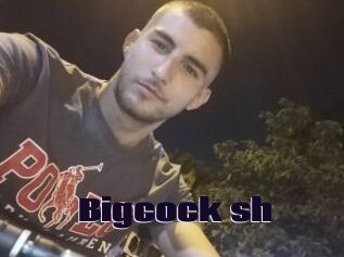 Bigcock_sh