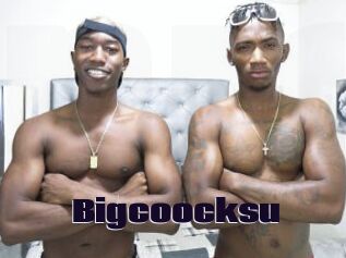 Bigcoocksu