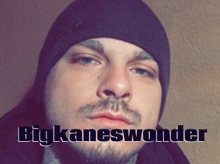 Bigkaneswonder