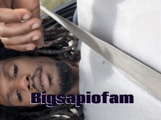 Bigsapiofam