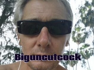 Biguncutcock