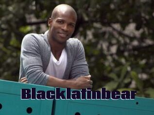 Blacklatinbear