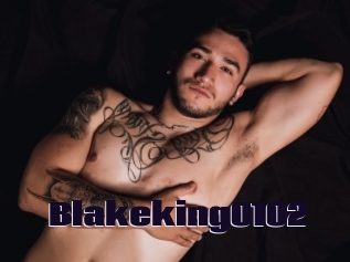 Blakeking0102