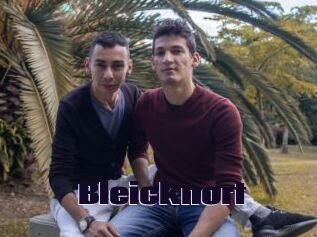 Bleicknort