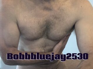 Bobbbluejay2530