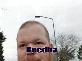 Boedha