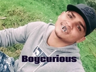 Boycurious