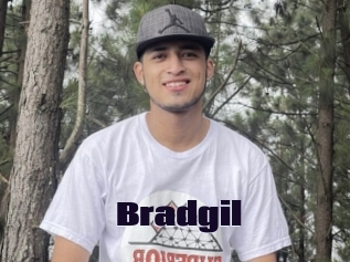 Bradgil