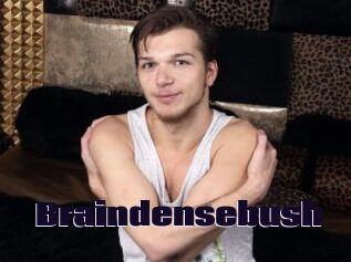 Braindensebush