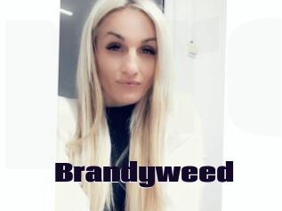 Brandyweed